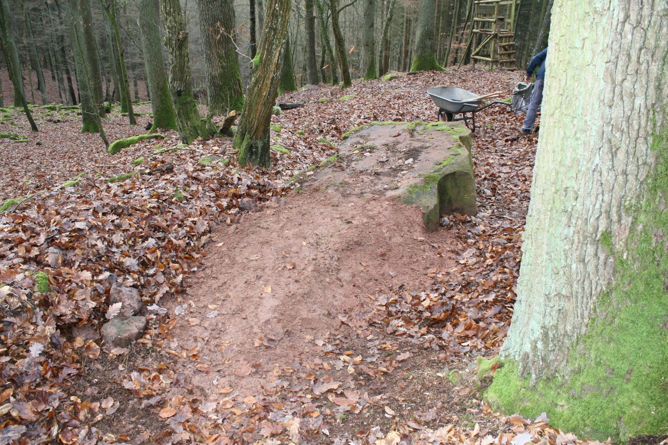 Noch ein Drop, dieses Mal auf Wolfstrail 4