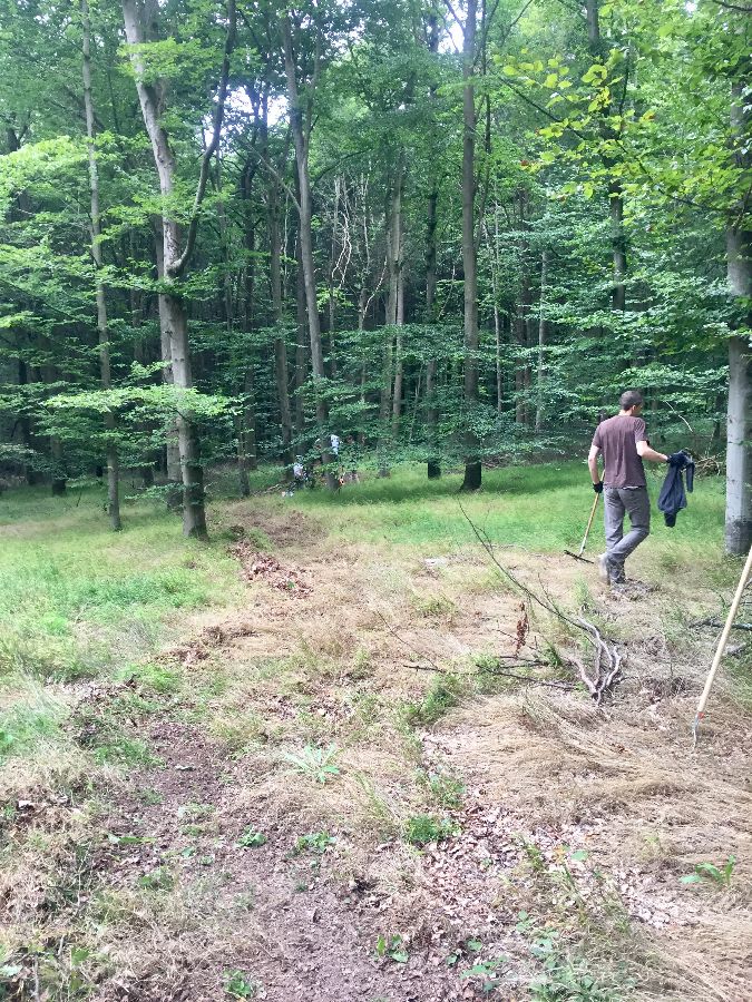 Aller Anfang ist schwer