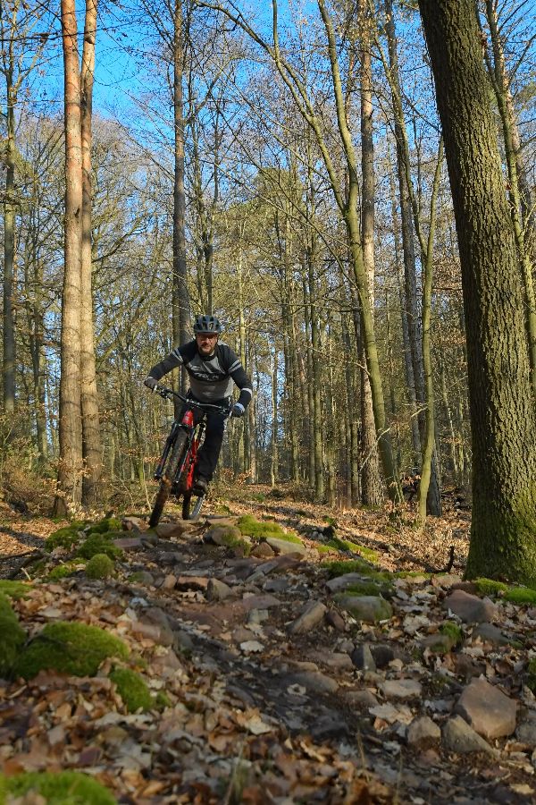 Steinfelder, Wurzeln, Drops, Anlieger --&amp;gt; Wolfstrail 4 bietet alles