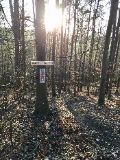 Einfahrt Margarethentrail 2