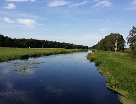 Flusslandschaft-Zarow-Uecker-Randow