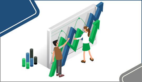 netix BI Professional User