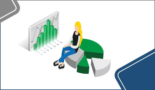netix BI Analyzer User