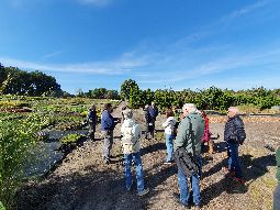 Führung Härlen MO 211009