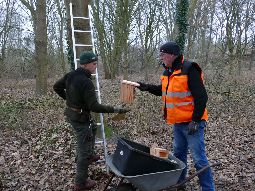 Johann und Andreas beim Aufhängen der ersten Nistkästen