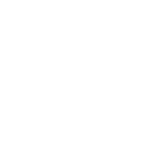 38 Jahre BALCOK