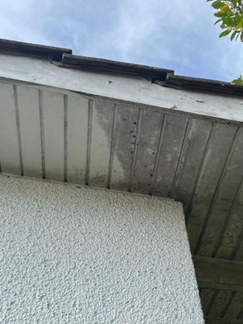 Diedachreiniger - Solarmodulreinigung