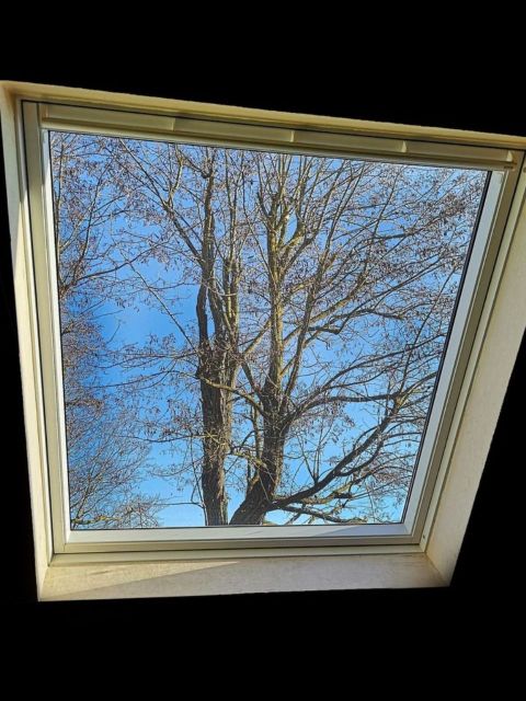 Diedachreiniger - Dachfensterreinigung