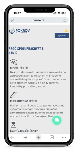 Fertiggestellte Seite für Pokrov International