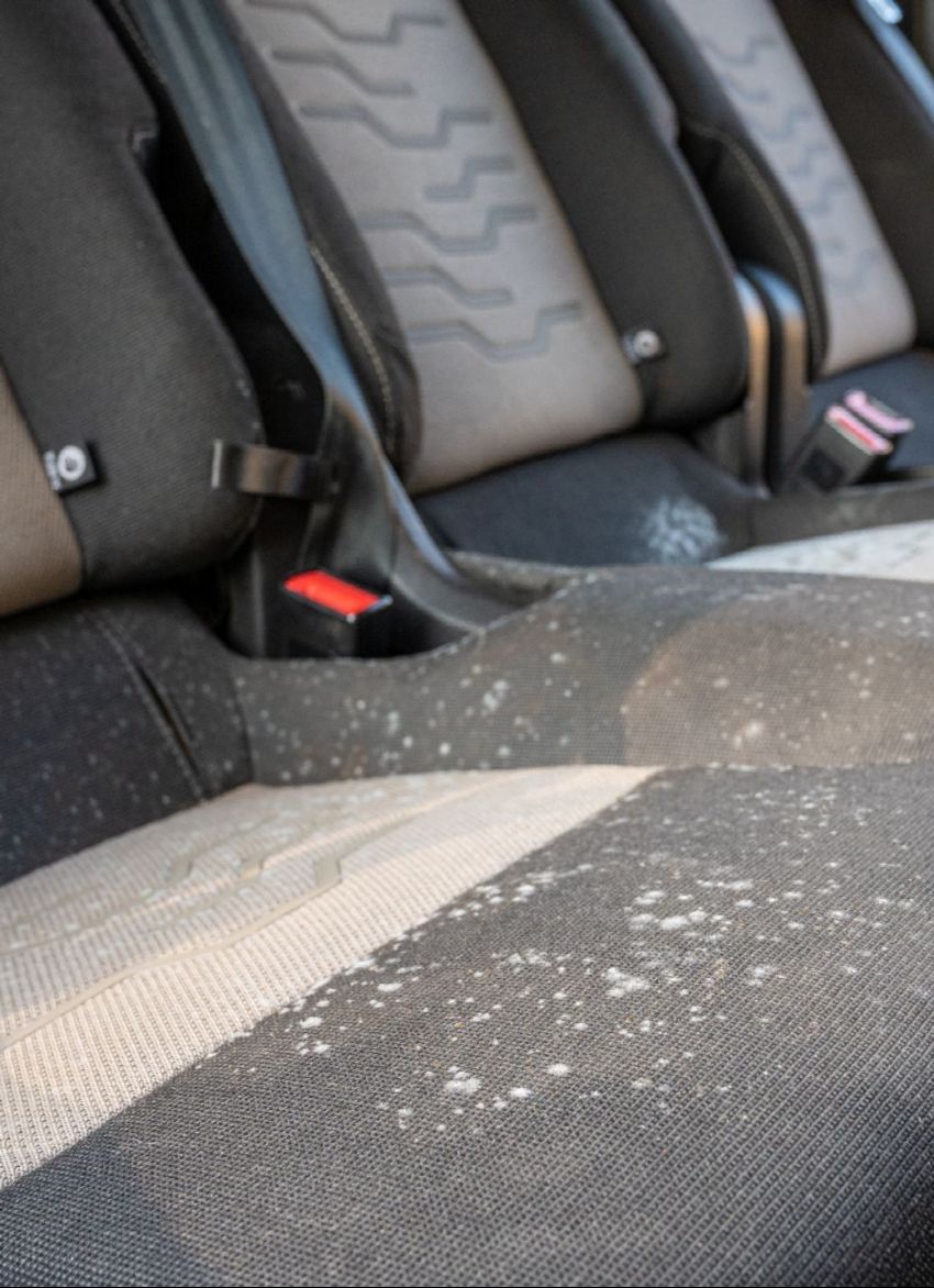 Schimmel im Auto - ein Problem - Luftverschmutzung-Feuchtigkeit