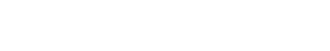 Logo mastersolution REFLECT