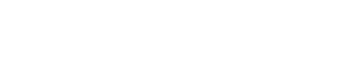 Logo mastersolution VMS