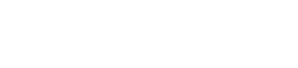 Logo mastersolution SHOW