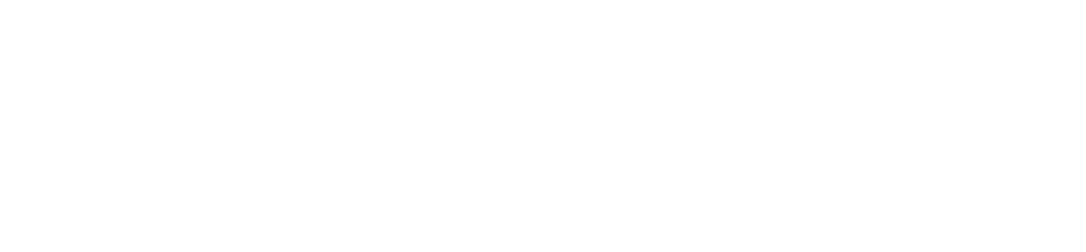 Logo mastersolution SUITE XL